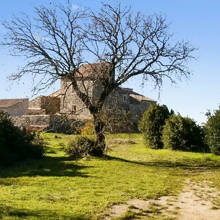 Chateau De La Roque Appartamento *