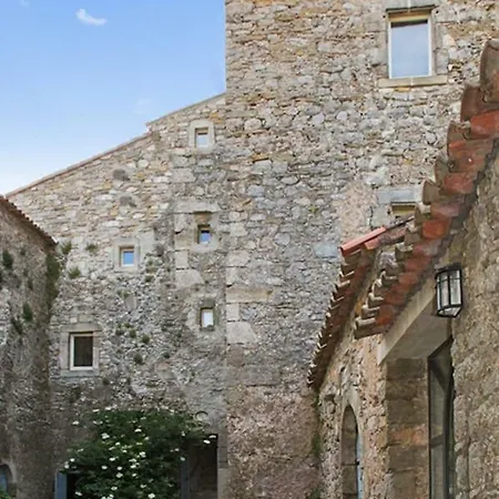 Chateau De La Roque Appartamento *
